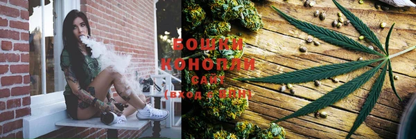 ГАЛЛЮЦИНОГЕННЫЕ ГРИБЫ Алексеевка