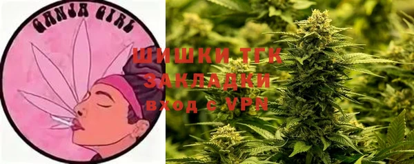 ГАЛЛЮЦИНОГЕННЫЕ ГРИБЫ Алексеевка