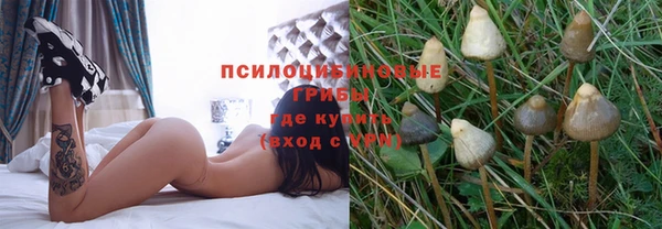 прущий лед Алзамай